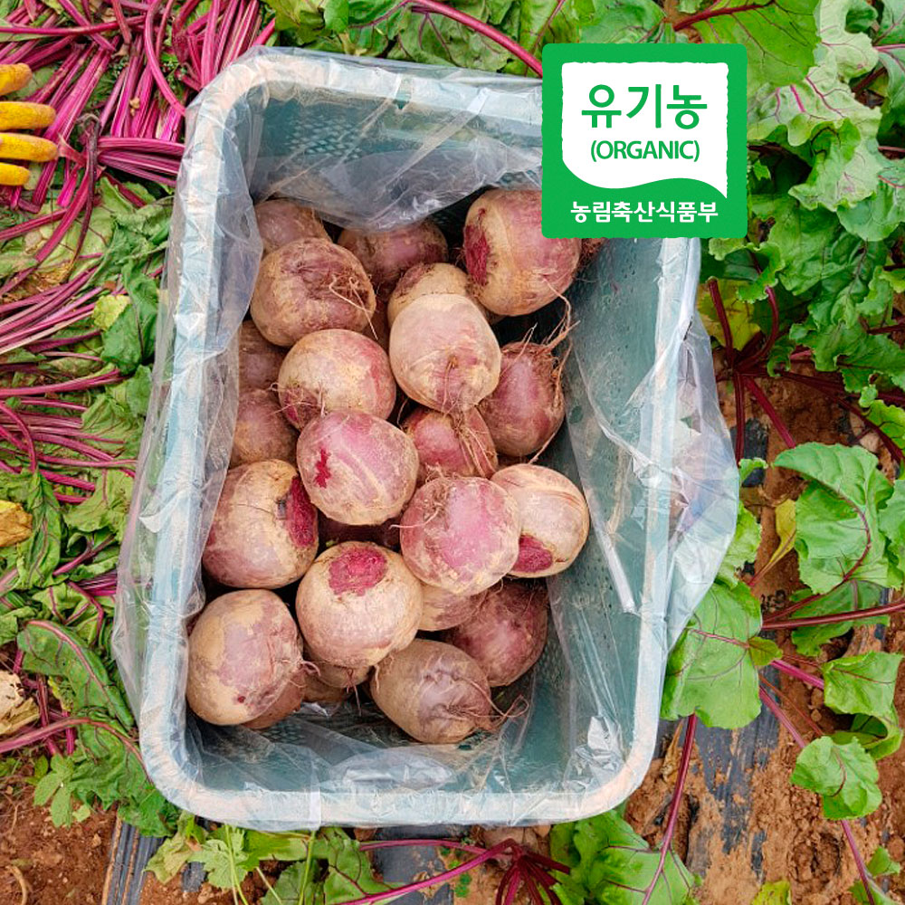 [최상품] 껍질까지 먹는 유기농 레드비트 2kg