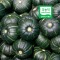 무농약인증 미니밤호박 3kg (9~12통) / 대과 : 250g~350g