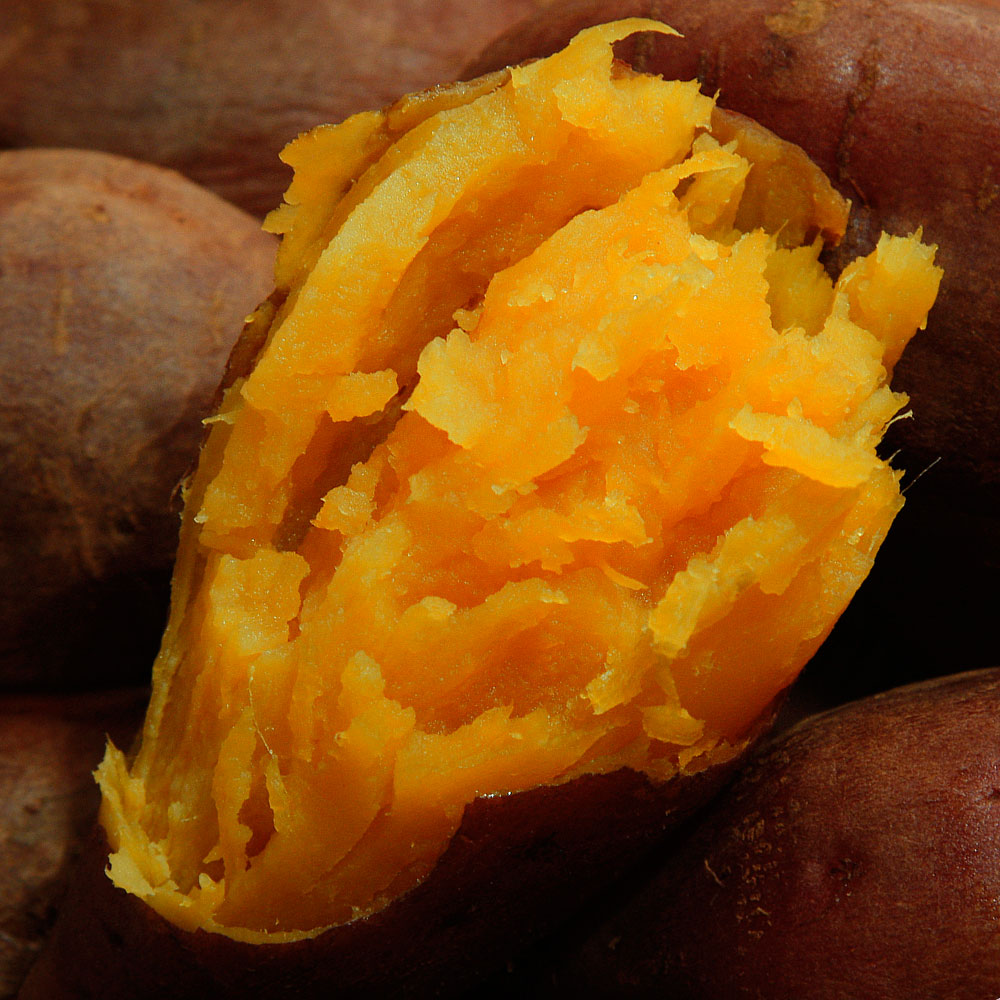 [대품] 해남 황토 호박고구마 3kg